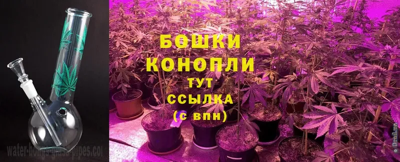 Каннабис THC 21%  Северодвинск 